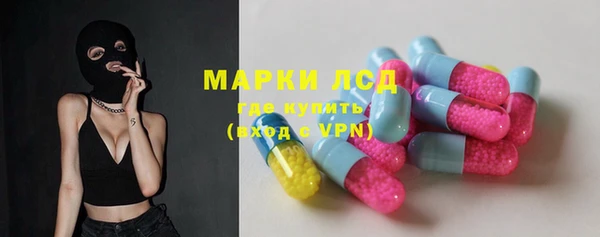 трава Няндома