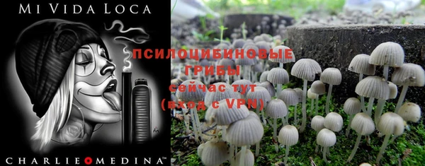 прущие грибы Алексин